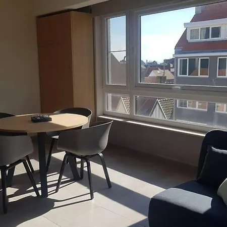 Studio Voor 2 Of 3 Pers Met Zeezicht Ostend
